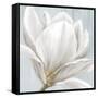 Soft White I-Eva Watts-Framed Stretched Canvas