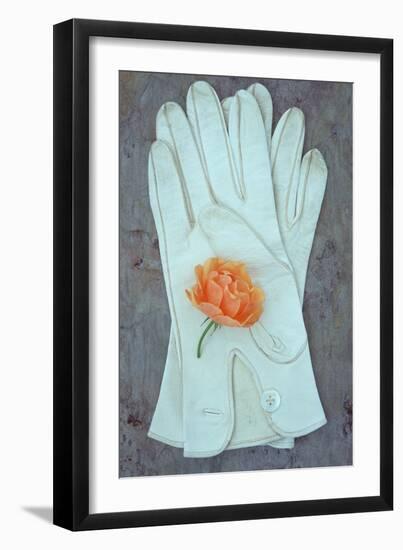 Soft White-Den Reader-Framed Photographic Print