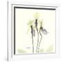 Soft Yellow Orchids-Albert Koetsier-Framed Art Print