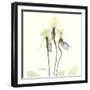 Soft Yellow Orchids-Albert Koetsier-Framed Art Print