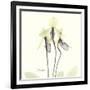 Soft Yellow Orchids-Albert Koetsier-Framed Art Print