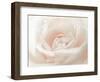 Softest Flower Beauty 3-null-Framed Photographic Print