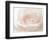 Softest Flower Beauty 3-null-Framed Photographic Print