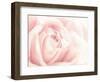 Softest Flower Beauty 4-null-Framed Photographic Print