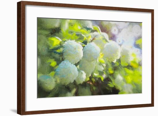 Softly Blooming, 2018,-Helen White-Framed Giclee Print