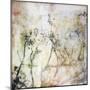 Softly into Spring-Christine O’Brien-Mounted Giclee Print