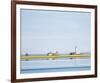 Softly Into Summer-Barbara James-Framed Giclee Print