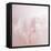 Softly Pink-Doug Chinnery-Framed Stretched Canvas