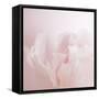 Softly Pink-Doug Chinnery-Framed Stretched Canvas
