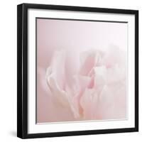 Softly Pink-Doug Chinnery-Framed Photographic Print