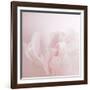 Softly Pink-Doug Chinnery-Framed Photographic Print