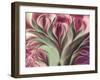 Softly-Mindy Sommers-Framed Giclee Print