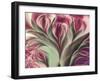 Softly-Mindy Sommers-Framed Giclee Print