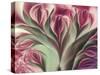 Softly-Mindy Sommers-Stretched Canvas