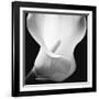 Softness I-Assaf Frank-Framed Art Print