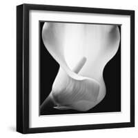 Softness I-Assaf Frank-Framed Art Print