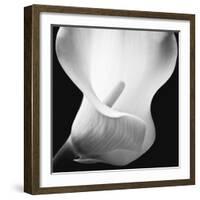 Softness I-Assaf Frank-Framed Art Print