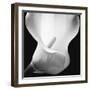 Softness I-Assaf Frank-Framed Art Print