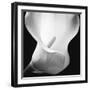 Softness I-Assaf Frank-Framed Art Print