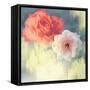 Softness-Andrew Michaels-Framed Stretched Canvas