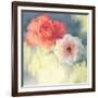 Softness-Andrew Michaels-Framed Art Print