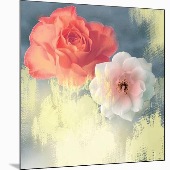 Softness-Andrew Michaels-Mounted Art Print