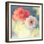 Softness-Andrew Michaels-Framed Art Print