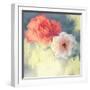 Softness-Andrew Michaels-Framed Art Print