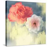 Softness-Andrew Michaels-Stretched Canvas