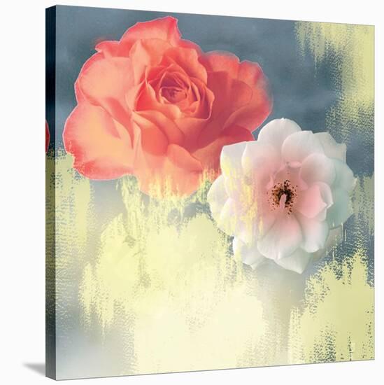 Softness-Andrew Michaels-Stretched Canvas