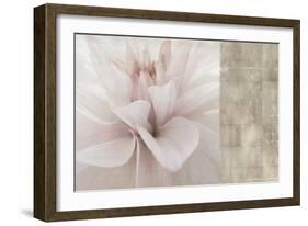 Softness-Andrew Michaels-Framed Art Print