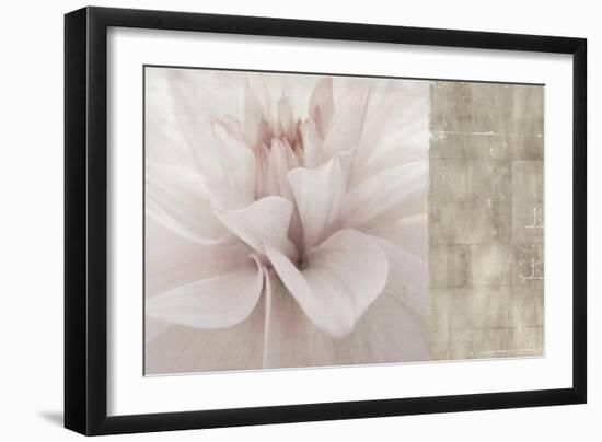 Softness-Andrew Michaels-Framed Art Print