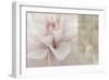 Softness-Andrew Michaels-Framed Art Print