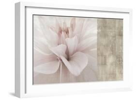 Softness-Andrew Michaels-Framed Art Print