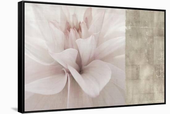 Softness-Andrew Michaels-Framed Stretched Canvas