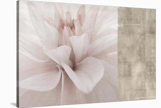 Softness-Andrew Michaels-Stretched Canvas