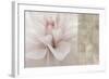 Softness-Andrew Michaels-Framed Art Print