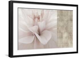 Softness-Andrew Michaels-Framed Art Print