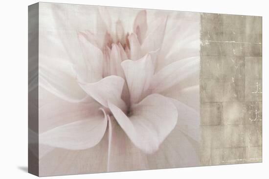 Softness-Andrew Michaels-Stretched Canvas