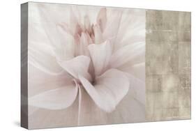 Softness-Andrew Michaels-Stretched Canvas