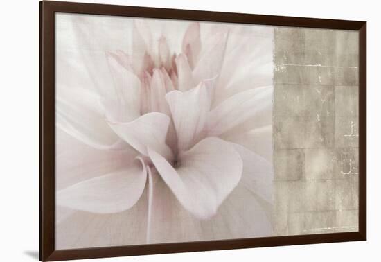 Softness-Andrew Michaels-Framed Art Print