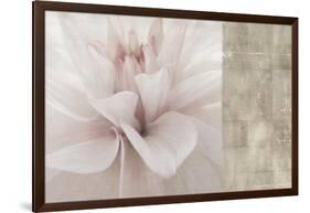 Softness-Andrew Michaels-Framed Art Print