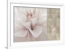 Softness-Andrew Michaels-Framed Art Print