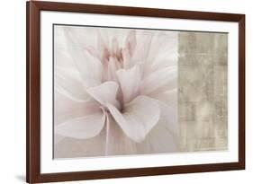 Softness-Andrew Michaels-Framed Art Print