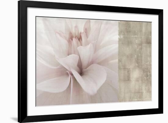 Softness-Andrew Michaels-Framed Art Print