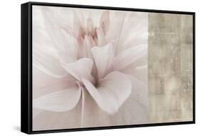 Softness-Andrew Michaels-Framed Stretched Canvas