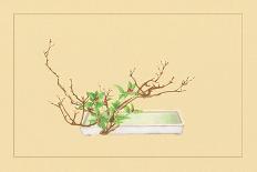 Plum and Chloranthus Brachystchys-Sofu Teshigahara-Art Print