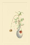 Eggplant and Charantia-Sofu Teshigahara-Art Print