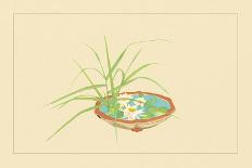 Reed and Pond Lily-Sofu Teshigahara-Art Print