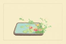 Spiraea Thumbergu and Water Lily-Sofu Teshigahara-Art Print